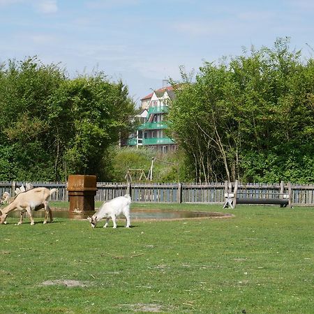 Aparthotel Huize De Duinen Bergen aan Zee Exteriér fotografie