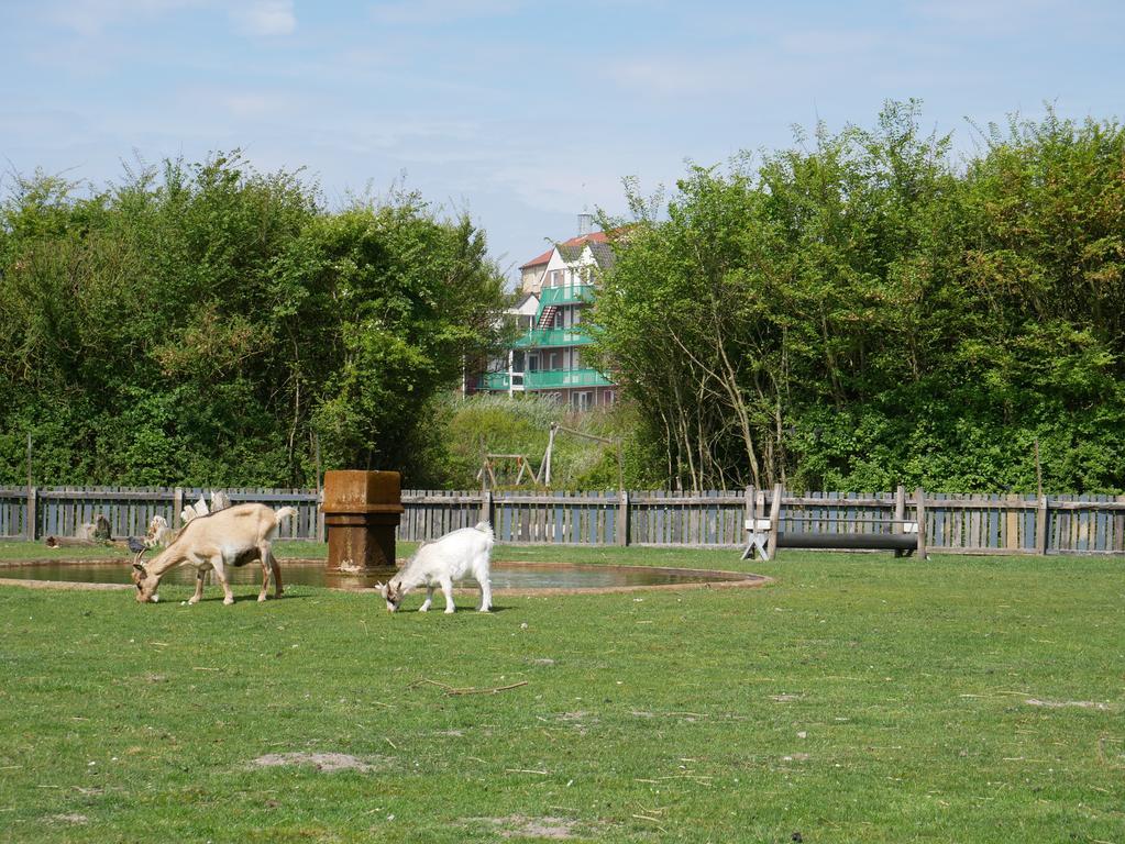 Aparthotel Huize De Duinen Bergen aan Zee Exteriér fotografie