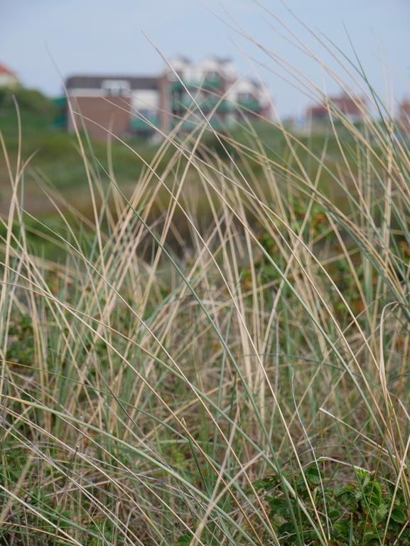 Aparthotel Huize De Duinen Bergen aan Zee Exteriér fotografie