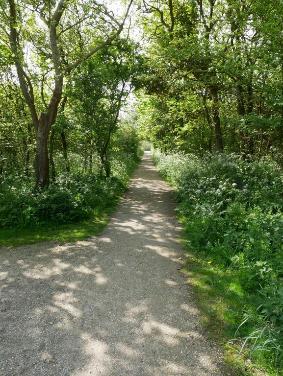 Aparthotel Huize De Duinen Bergen aan Zee Exteriér fotografie